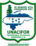 Logotipo de INFORMÁTICA - UNACIFOR